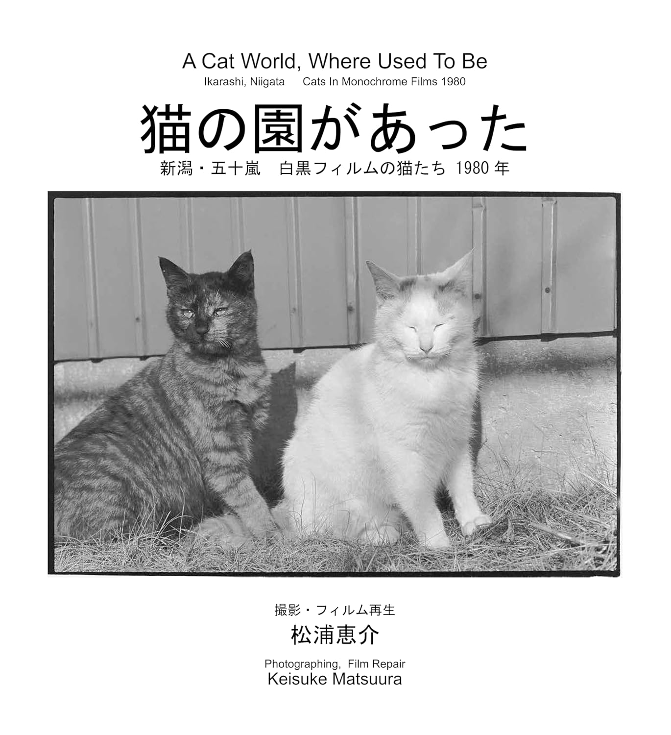 猫の園があった―新潟・五十嵐　白黒フィルムの猫たち 1980年―