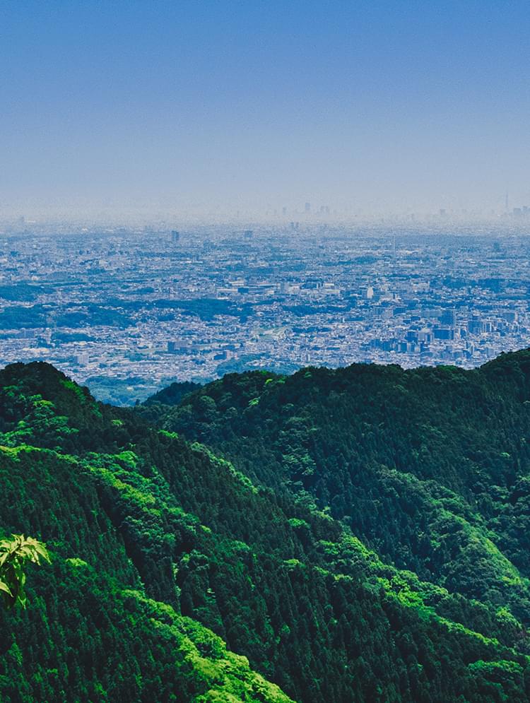 八王子で印刷・出版のことなら清水公房｜揺籃社