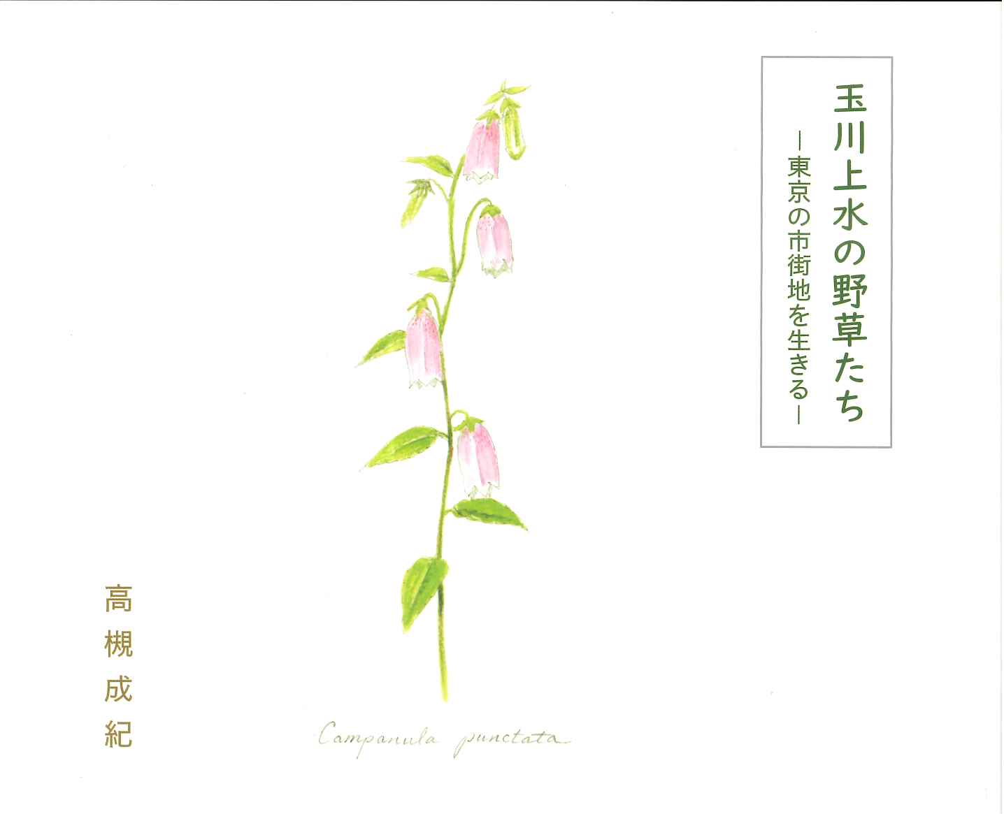 玉川上水の野草たち ―東京の市街地を生きる―