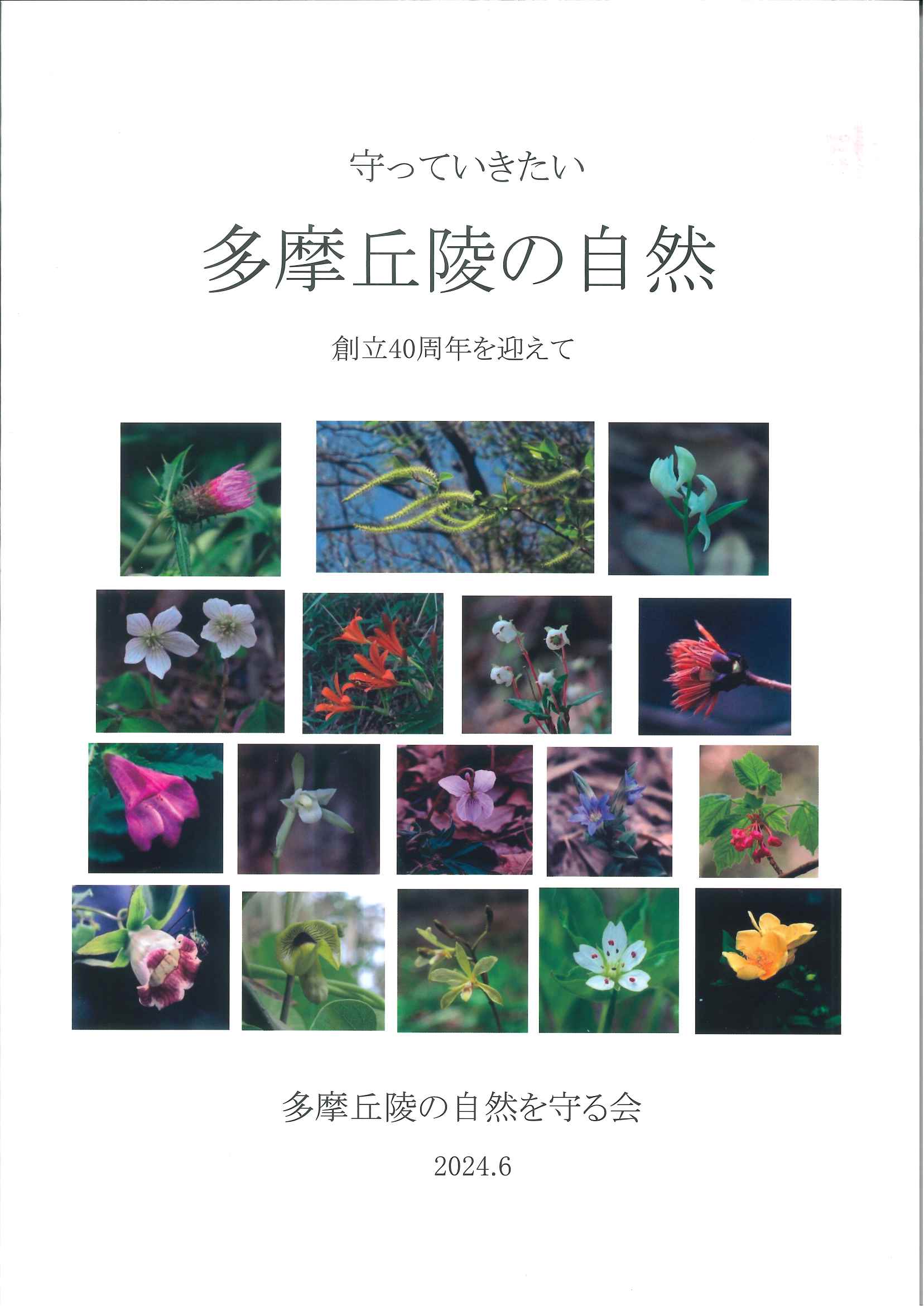 守っていきたい多摩丘陵の自然 ―創立40周年を迎えて―